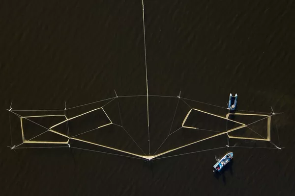ノヴォシビルスク州バラビンスキー地区の養殖が行われている湖で、地引網から魚を選ぶ漁師 ノヴォシビルスク州バラビンスキー地区の養殖が行われている湖で、地引網から魚を選ぶ漁師 - Sputnik 日本