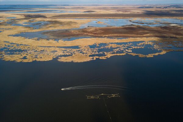 ノヴォシビルスク州バラビンスキー地区の養殖がおこなわれている湖 - Sputnik 日本
