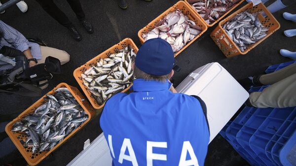 久之浜港で、水揚げされた魚を観察する国際原子力機関（IAEA）の専門家（福島県いわき市、19日） - Sputnik 日本