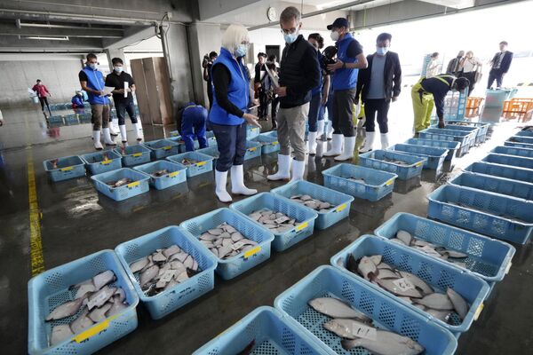 久之浜港で、水揚げされた魚を観察する国際原子力機関（IAEA）の専門家チームと中国、韓国、カナダの科学者ら（福島県いわき市、19日） - Sputnik 日本