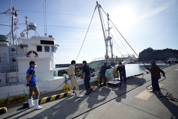 久之浜港で、朝セリ用の漁獲物を荷揚げする漁船の乗組員を観察する国際原子力機関（IAEA）の職員（左）（福島県いわき市、19日） - Sputnik 日本