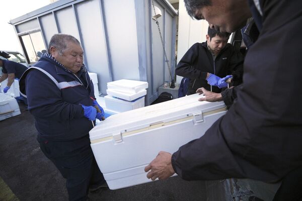 久之浜港で、調査に使用する魚のサンプルが入った保冷ボックスを運ぶ地元の作業員（福島県いわき市、19日） - Sputnik 日本