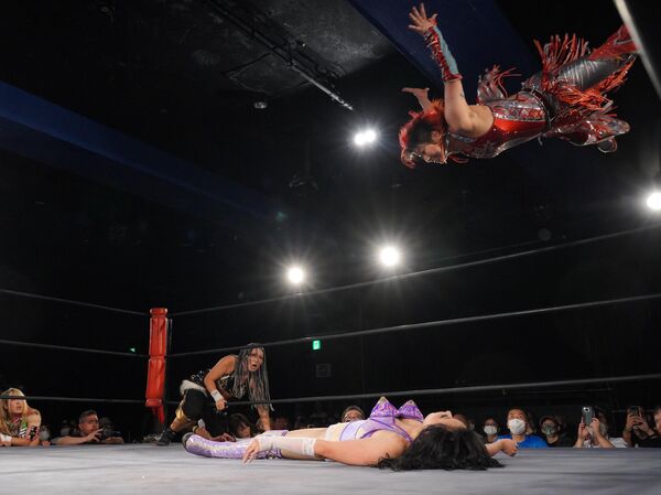 彩羽匠と戦う夏すみれ 彩羽匠と戦う夏すみれ - Sputnik 日本