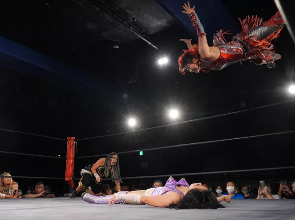 彩羽匠と戦う夏すみれ 彩羽匠と戦う夏すみれ - Sputnik 日本