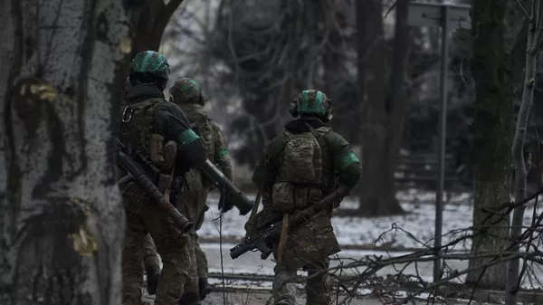 Украинские военнослужащие. Архивное фото - Sputnik 日本