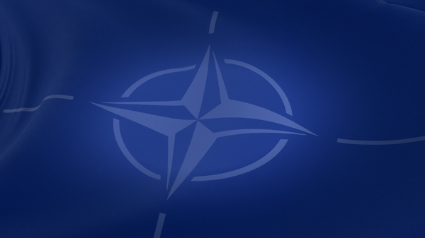 NATO発足75年 - Sputnik 日本