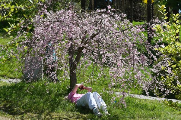 ソチの樹木公園で咲き誇る花々 - Sputnik 日本