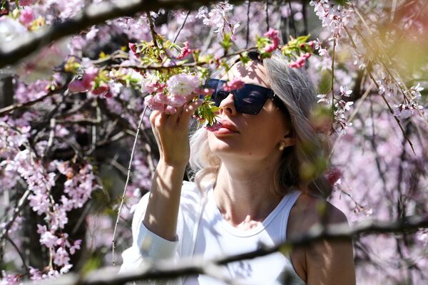 ソチの樹木公園で咲き誇る花々 - Sputnik 日本