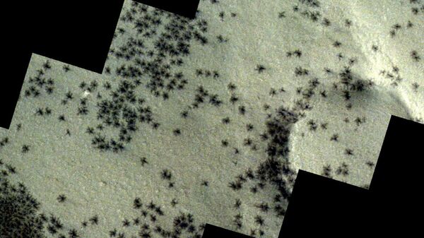 火星表面に無数の「黑蜘蛛」か　欧州宇宙機関の珍写真の答えは「春」 - Sputnik 日本