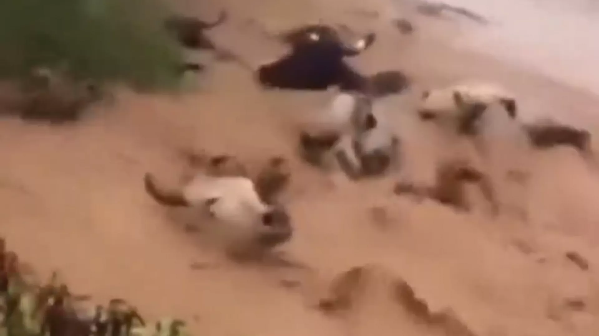 ブラジルで洪水、激流がすべてを飲み込む ブラジルで洪水、激流がすべてを飲み込む - Sputnik 日本, 1920, 04.05.2024
