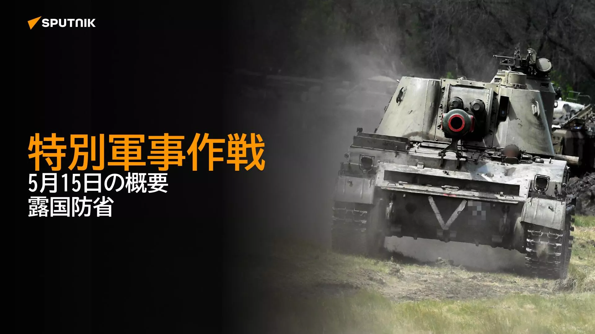 特別軍事作戦　5月15日の概要　露国防省