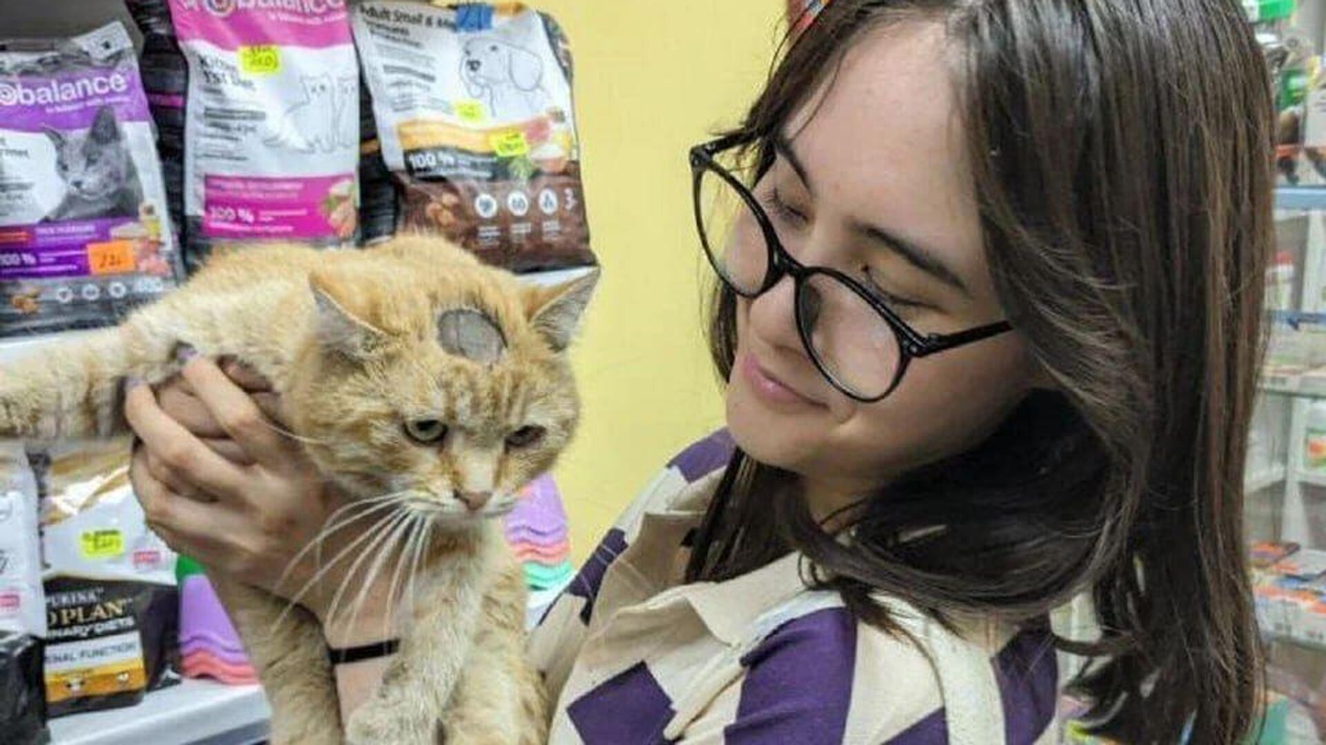 換気口にはまった猫、家族を見つける  - Sputnik 日本, 1920, 06.06.2024