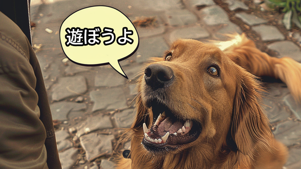 AIが犬の気持ちを教えてくれる（ニューラルネットワークによって生成された画像） - Sputnik 日本