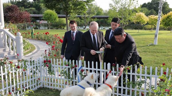 金正恩氏がプーチン大統領に贈った２匹mp狩猟犬「豊山犬」 - Sputnik 日本