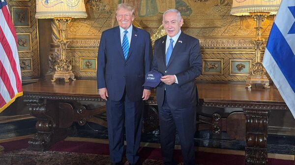 トランプ氏がイスラエル首相と会談、中東の平和回復を約束 - Sputnik 日本