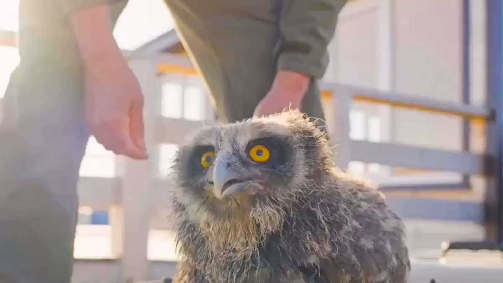 モスクワ動物園、今年に入ってから約100頭の動物を保護 希少種や絶滅危惧種も