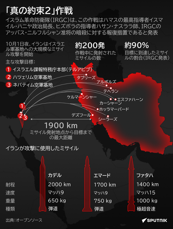 「真の約束2」作戦 - Sputnik 日本