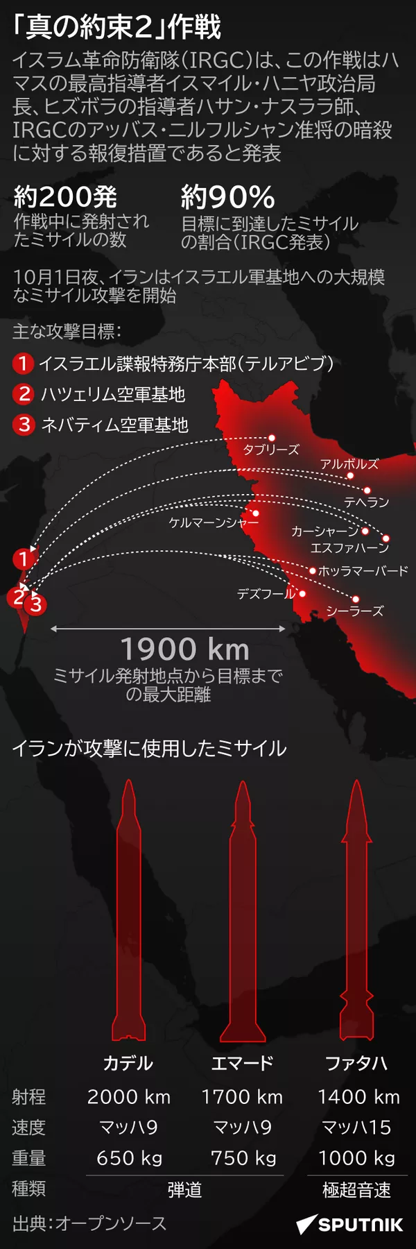 「真の約束2」作戦 - Sputnik 日本