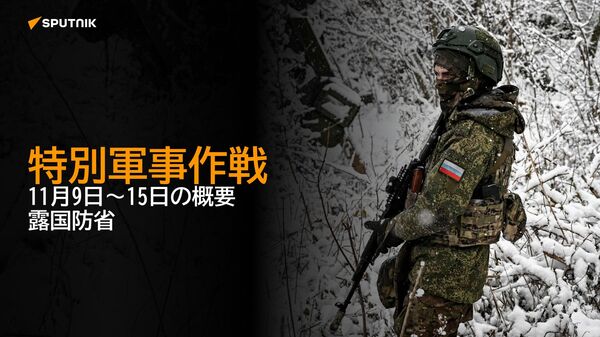 特別軍事作戦　11月9日～15日の概要　露国防省 - Sputnik 日本