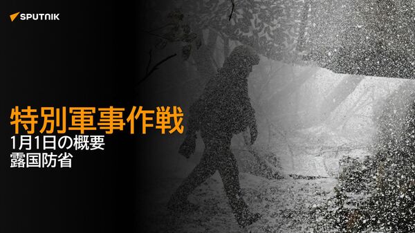 特別軍事作戦　1月1日の概要　露国防省 - Sputnik 日本