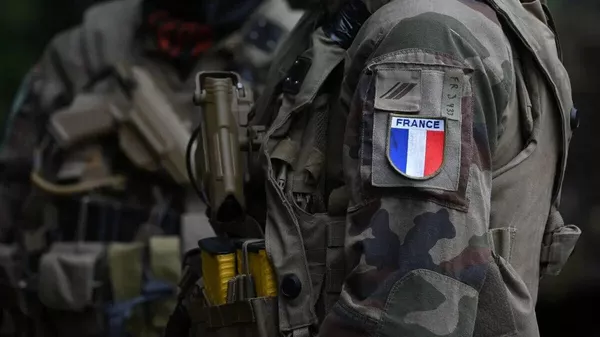 ウクライナ派兵を希望するフランス国民の割合が増加 - Sputnik 日本