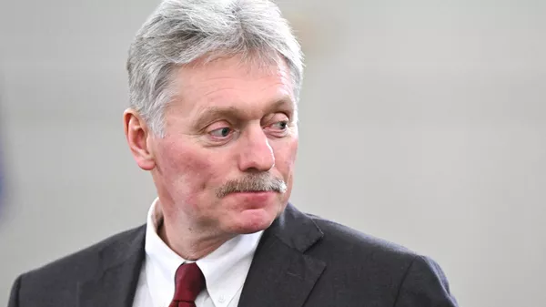 Президент Владимир Путин провёл встречу с премьер-министром Мьянмы М.А. Хлайном  - Sputnik 日本