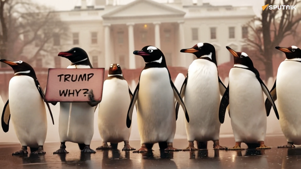 「トランプ関税」にペンギンたちが反対  - Sputnik 日本