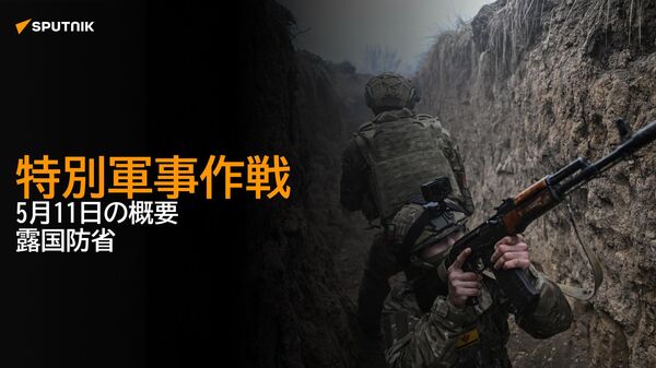 特別軍事作戦 - Sputnik 日本