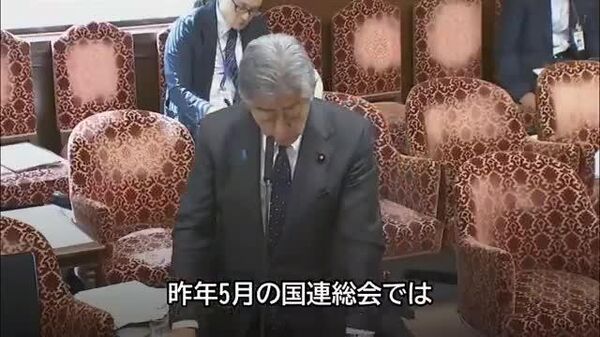 🇯🇵 岩屋外相「パレスチナは国連加盟の要件満たすが、国家承認は別問題」 - Sputnik 日本