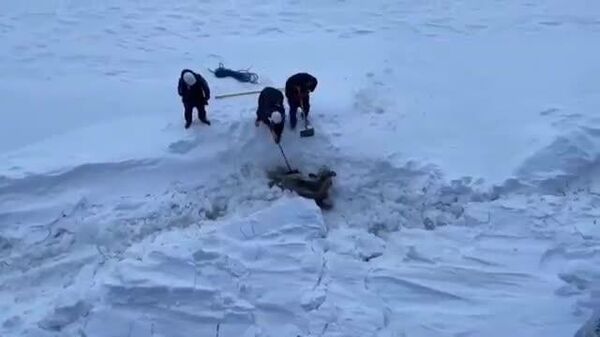 🫎 ロシアの原子力砕氷船の乗組員が、北極海につながるエニセイ川を航行中、氷に閉じ込められたヘラジカを発見。乗組員は手作業で雪をかき分け、クレーンで巨体を持ち上げ救出した。 - Sputnik 日本