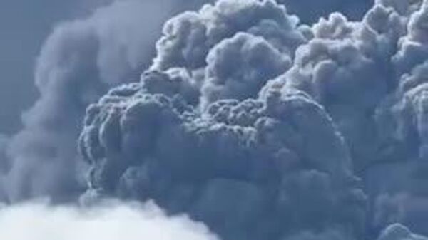 🌋 インドネシアのムラピ、レウォトビの両火山ではこの週末、噴火活動が活発化。特にレウォトビ火山は高さ3500メートルの灰柱を噴出している。付近の住民や観光客には、半径3キロの区域への立ち入りが禁止。 - Sputnik 日本