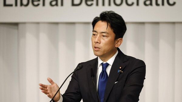 【「価格高騰が続くとコメ離れを起こす」小泉農相】 - Sputnik 日本