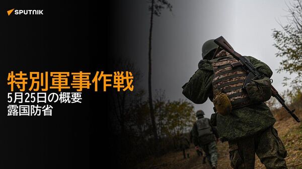 【特別軍事作戦 5月25日の概要 露国防省】 - Sputnik 日本