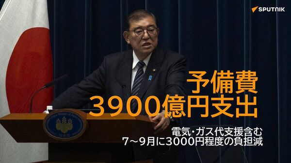 【日本政府、予備費3900億円を支出 電気・ガス料金補助】 - Sputnik 日本