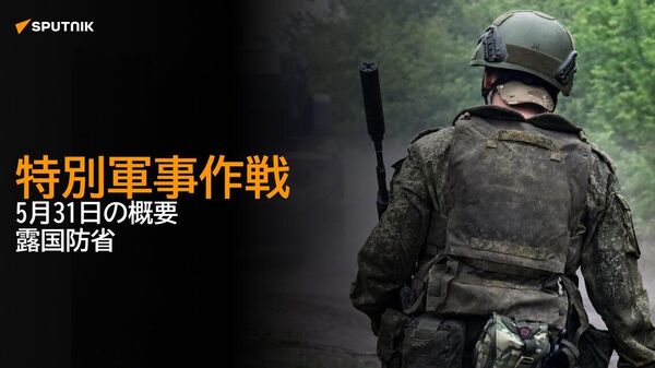 【特別軍事作戦 5月31日の概要 露国防省】 - Sputnik 日本