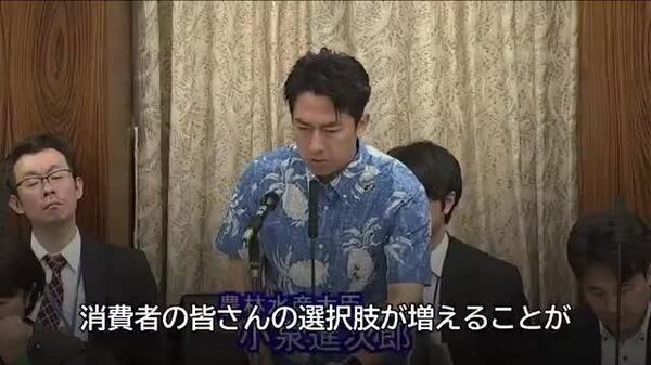🌾小泉農相「このスピードで備蓄米を並べられたのは予想を上回る民間の競争の結果」 - Sputnik 日本