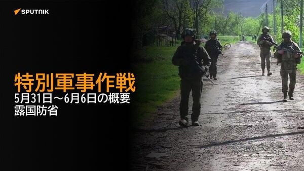 【特別軍事作戦 5月31日～6月6日の概要 露国防省】 - Sputnik 日本