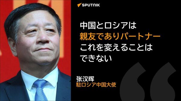 【露中関係は「史上、最良の時代に」入った＝駐ロシア中国大使】 - Sputnik 日本