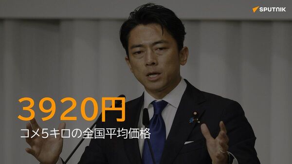 【コメ5キロ平均3920円に＝小泉農相】 - Sputnik 日本