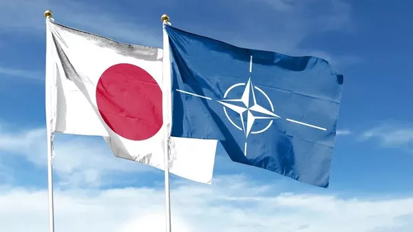 【視点】アジア3カ国の首脳は、なぜNATO首脳会議への出席を取りやめたのか - Sputnik 日本