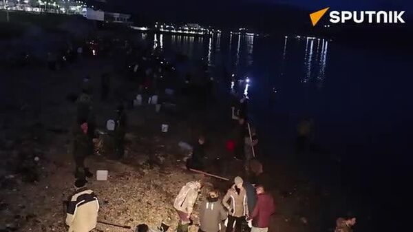 【夜の海で「シシャモすくい」】 - Sputnik 日本