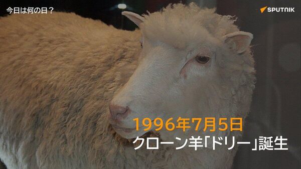 🗓️1996年7月5日、スコットランドにて世界初となる哺乳類のクローン「ドリー」が誕生した。死んだ成体羊の乳腺細胞を使って生まれ、当初から倫理的をめぐる議論を巻き起こした。 #今日は何の日_Sputnik - Sputnik 日本