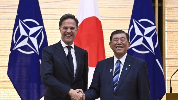 【視点】日本 NATOとの協力をさらに緊密化 今やサイバー防衛でも - Sputnik 日本
