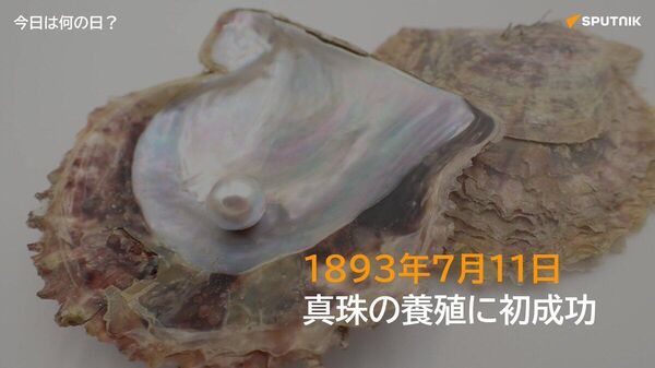🗓️1893年7月11日、真珠大手「ミキモト」の創業者である御木本幸吉・うめ夫妻が、三重・鳥羽でアコヤ貝を使った真珠養殖を世界で初めて成功させた。「真珠記念日」に定められている。 #今日は何の日_Sputnik - Sputnik 日本