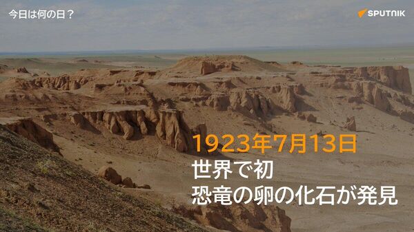 🗓️1923年7月13日、モンゴルのゴビ砂漠で恐竜の卵の化石が世界で初めて発見された。 米博物学者のロイ・チャップマン・アンドリュース率いる探検隊による発見。恐竜が卵で繁殖していたことが科学的に裏付けられた。 #今日は何の日_Sputnik - Sputnik 日本