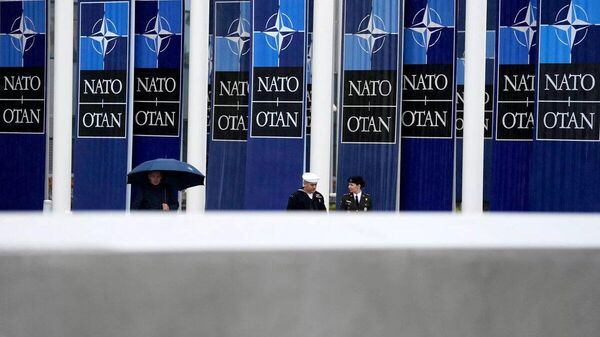 【「NATOのロシアに対する敵対的な態度は、安全確保のための措置を講じることを余儀なくさせる」露大統領府】 - Sputnik 日本