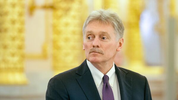 Встреча президента РФ В. Путина и премьер-министра Малайзии А. Ибрагима - Sputnik 日本