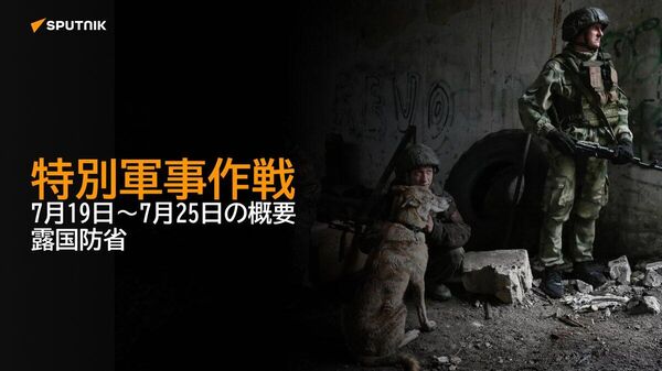 【特別軍事作戦 7月19日～7月25日の概要 露国防省】 - Sputnik 日本