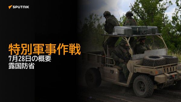【特別軍事作戦 7月28日の概要 露国防省】 - Sputnik 日本