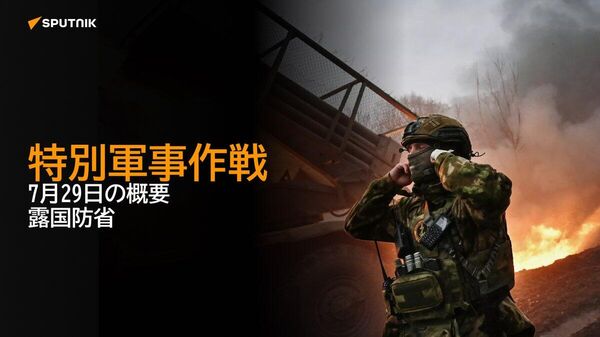 【特別軍事作戦 7月29日の概要 露国防省】 - Sputnik 日本